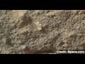 News video: Mars Rover Curiosity Finds Alleged 'Flower'